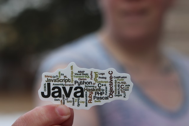 Person Holding Sticker with Proramming Languages Written